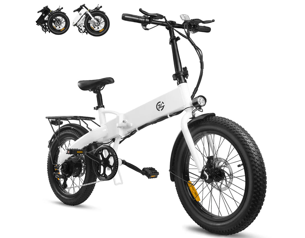 Zoonlai Falcon