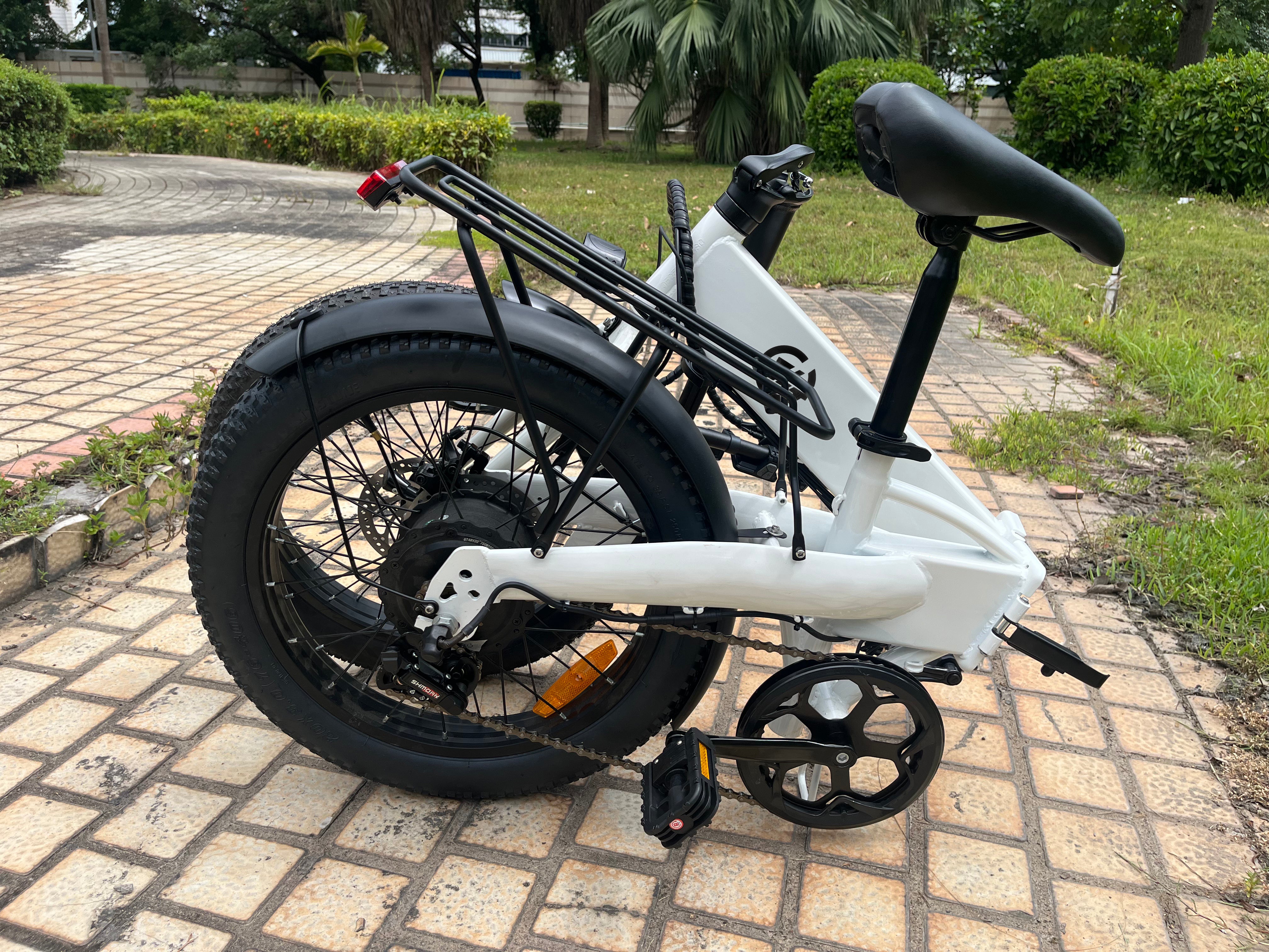 Zoonlai Falcon