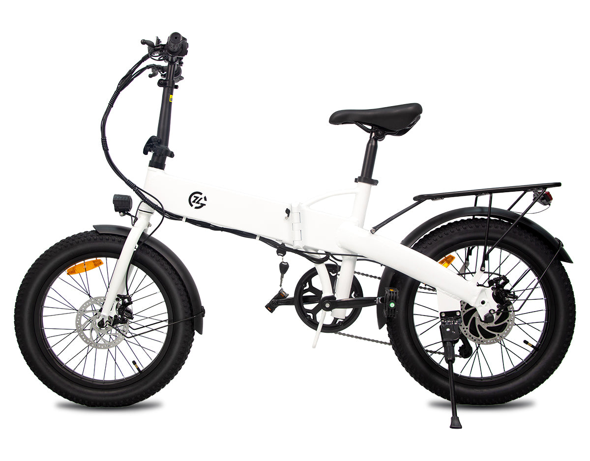 Zoonlai Falcon