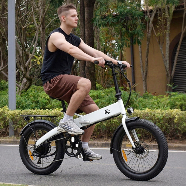 Zoonlai Falcon