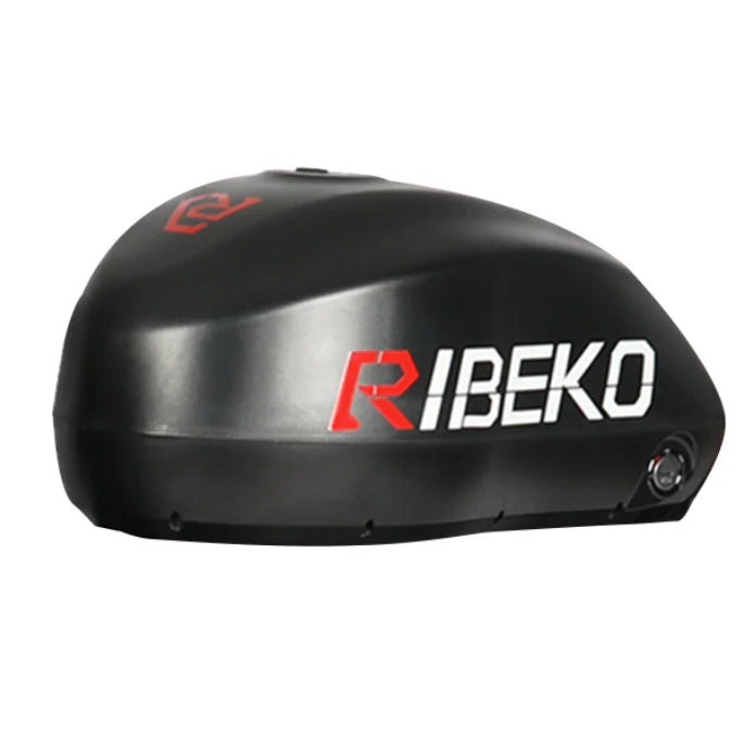 RoadBeast Pro Battery