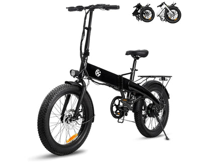 Zoonlai  Falcon