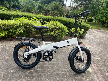 Zoonlai Falcon