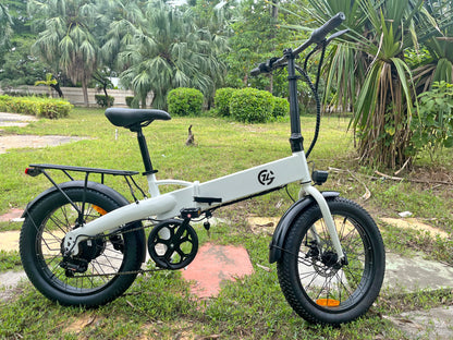 Zoonlai Falcon