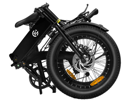Zoonlai  Falcon