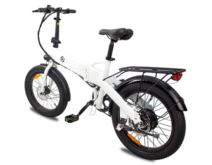Zoonlai  Falcon