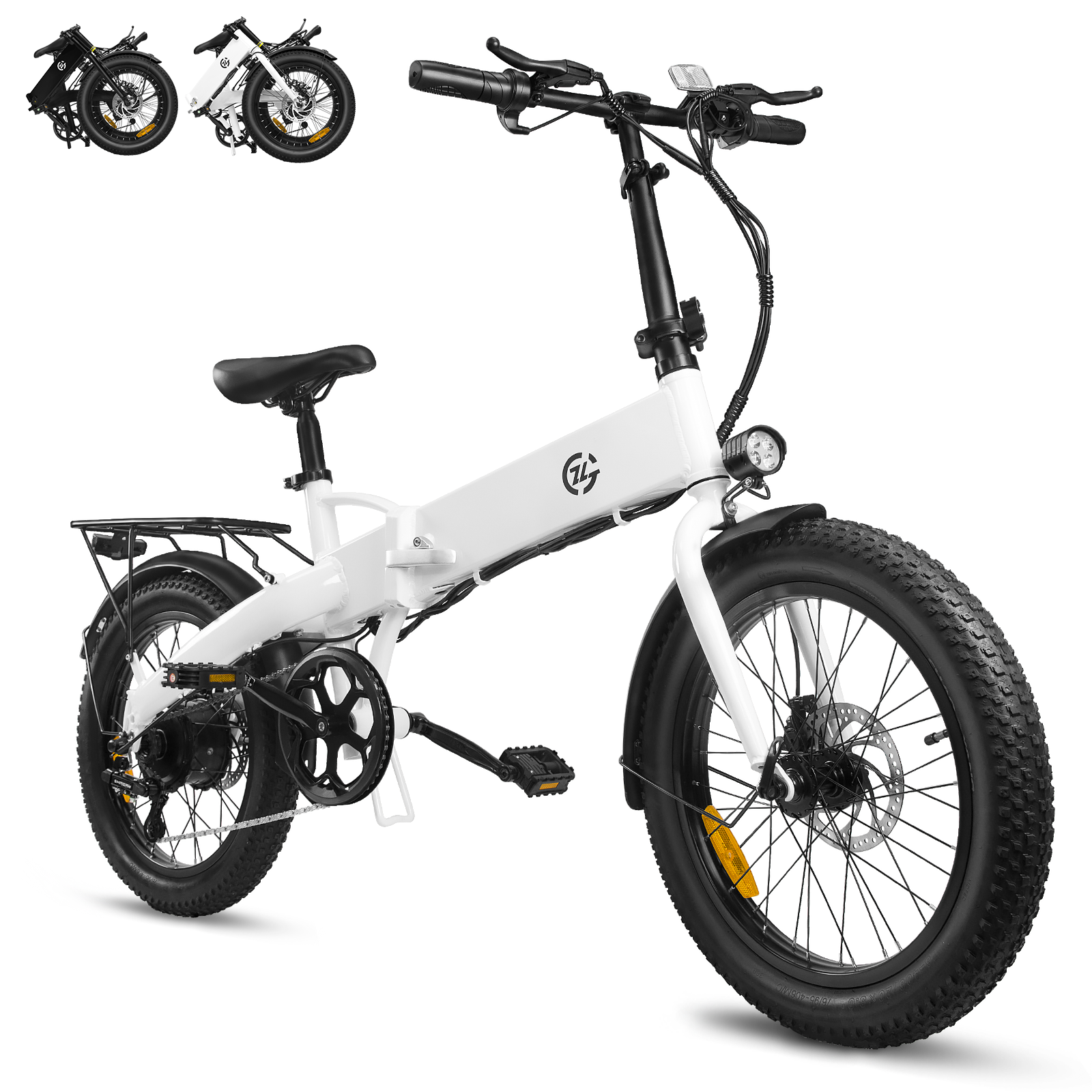 Zoonlai  Falcon