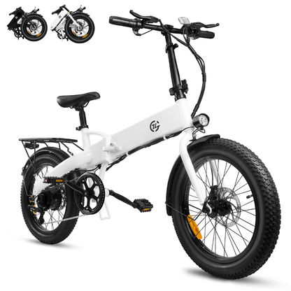 Zoonlai  Falcon