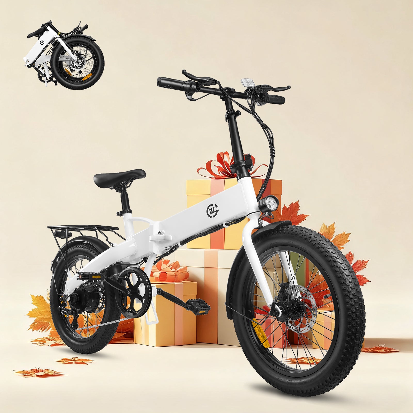 Zoonlai  Falcon