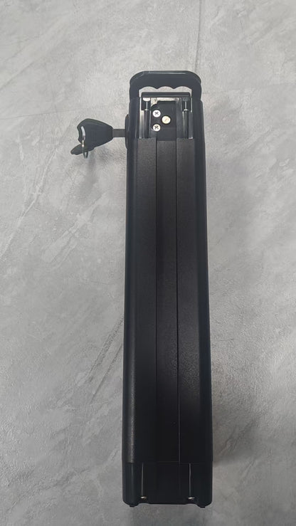 2028 Zoonlai EasyGo Battery