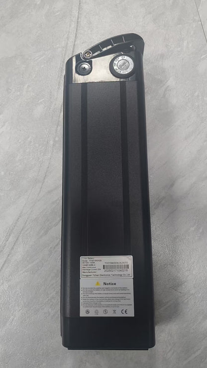 2028 Zoonlai EasyGo Battery