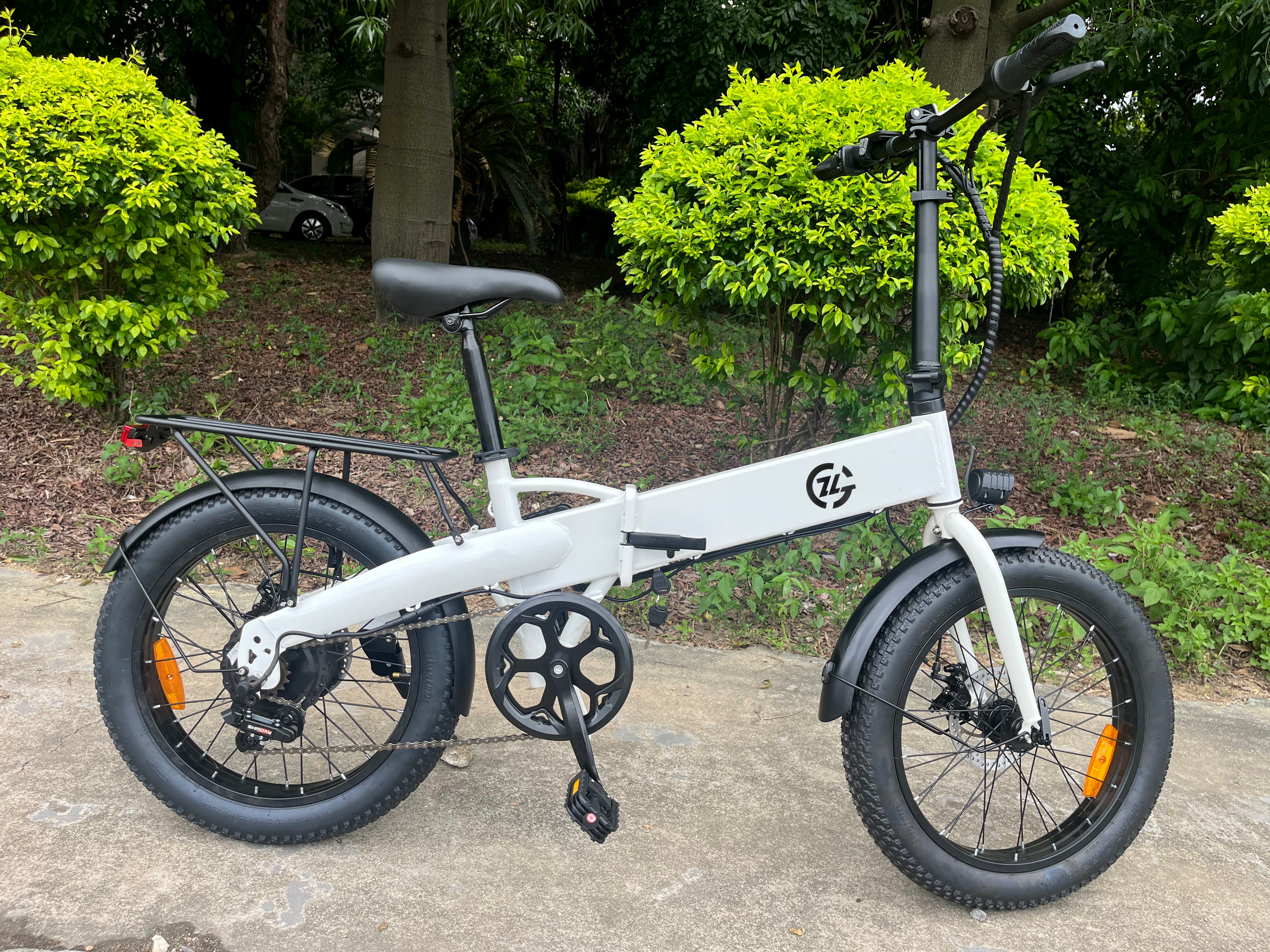 Zoonlai Falcon