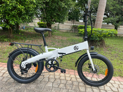 Zoonlai Falcon