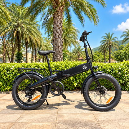 Zoonlai Falcon