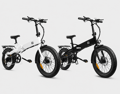 Zoonlai Falcon