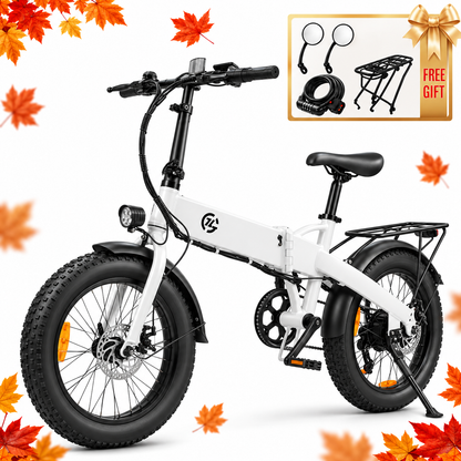 Zoonlai Falcon