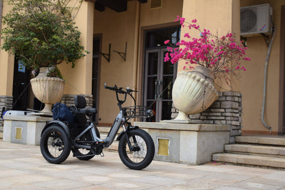 Smartravel ST301 Electric Tricycle