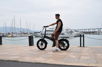 SMARTRAVEL M6 Fat Tire Folding E-Bike