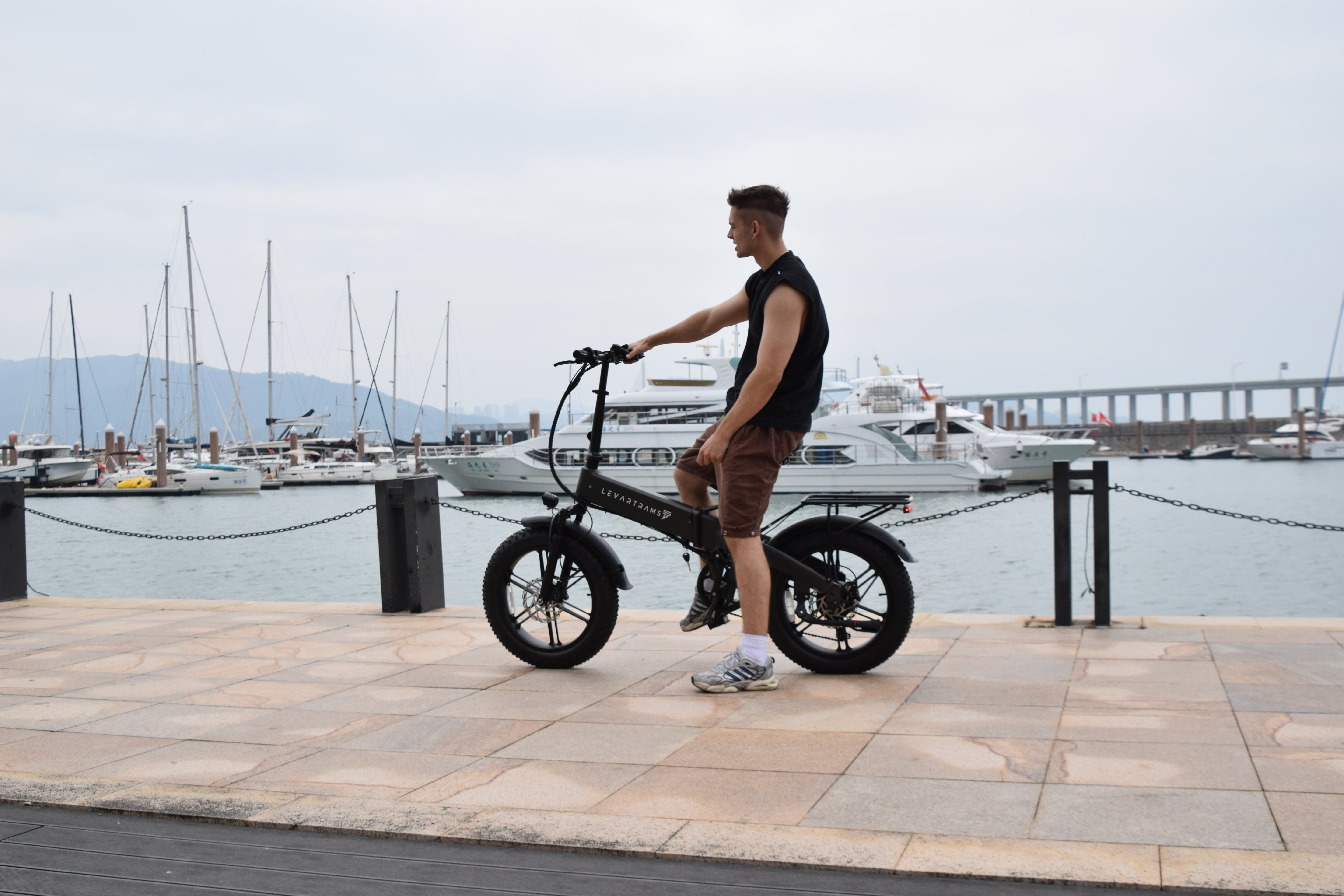 SMARTRAVEL M6 Fat Tire Folding E-Bike