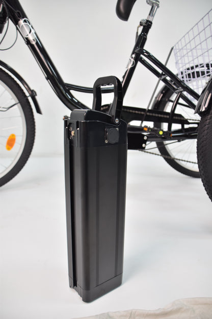 M300 Electric Tricycle Battery （15AH）