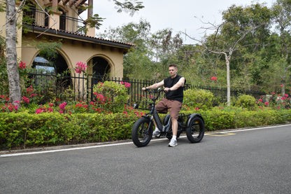 Smartravel ST301 Electric Tricycle