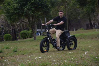 Smartravel ST301 Electric Tricycle