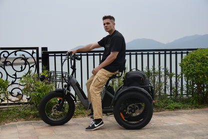 Smartravel ST301 Electric Tricycle