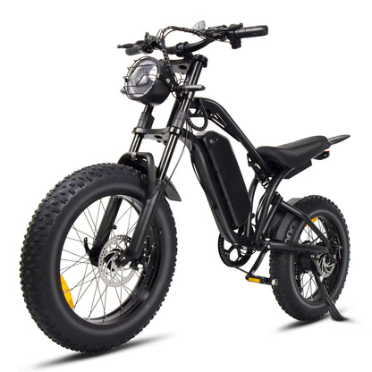 ZOONLAI M21 1000W Electric Bike