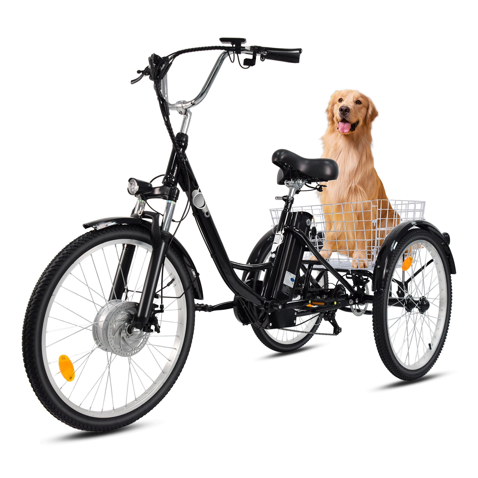 ZOONLAI M300 Cargo Trike EU