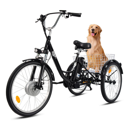 SMARTRAVEL  M300 Cargo Trike EU